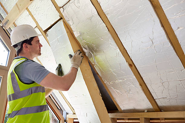 Best Spray Foam Insulation in Hawkinsville, GA