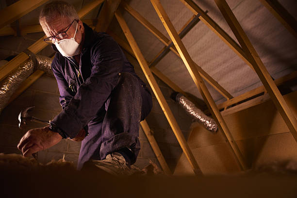 Best Insulation Maintenance and Repair in Hawkinsville, GA