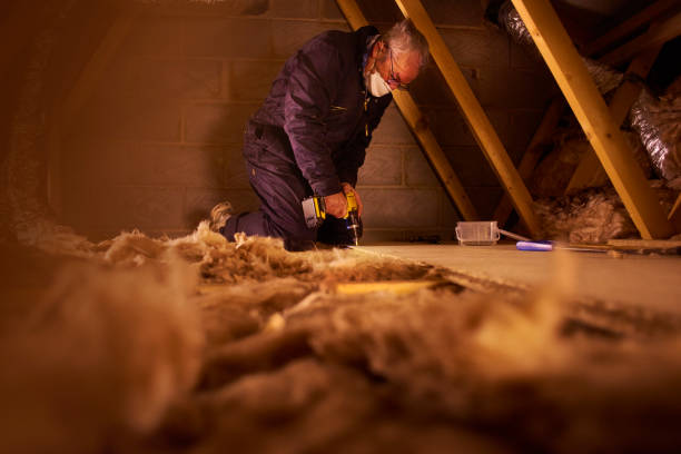 Best Specialized Insulation Services in Hawkinsville, GA